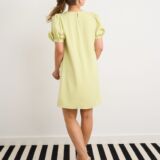Shift dress rose detail colour pistachio